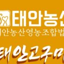 서해농산 이미지