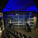 바디스타 휘트니스 이미지