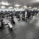 S.O 휘트니스 네이버블로그