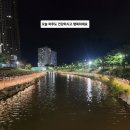 연신유도체육관 네이버블로그