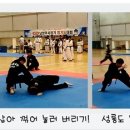 최강합기도 이미지