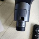 라온느