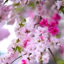 안마을(점) 이미지