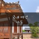 옥야슈퍼 | [국내여행] 5월 봄 안동 국내태교여행 , 찜닭골목 월영교 옥야식당 맘모스제과 하회마을 병산서원
