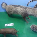 땅끝해양 자연사박물관 이미지