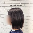준오헤어 건대역2호점 백건디자이너 태슬컷 후기