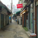 벼룩이구제 - 청송군 진보로 148-1 | 벼룩이구제