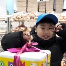 배스킨라빈스 화성봉담점