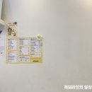 와이블랙 수지구청점 네이버블로그