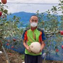 산내면 입석마을 이미지