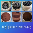 투썸플레이스(경상대점) | 진주 투썸플레이스 블루베리 요거트 생크림 케이크 파베초콜릿 케이크 후기