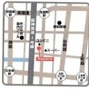 하와이안 훌라댄스 이미지