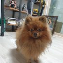 양평엘한방병원 이미지