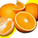 오렌지 이미지