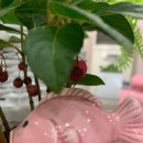 벨톤보청기 이미지