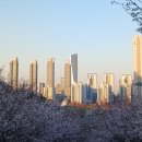 GS25인천가좌점 | 1220회차 인천 로또 1등 판매점 위치와 당첨금 실수령액
