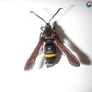 유리농장2 이미지