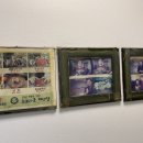 도토리군버섯양 이미지