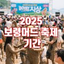 슈퍼케이스남포 | 2025 보령머드축제 기간과 즐길 거리 총정리