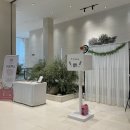 원대 수목원 | [Wedding]전주 포토부스 원대수목원 야외예식 티오박스 예약후기