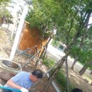 야영장펜션민박 이미지