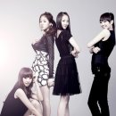 씨스타 카카오 검색결과