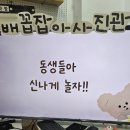 청심유치원 이미지