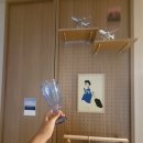 오션드림 이미지