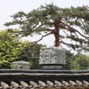 윤자운 사우 이미지