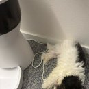 엘로이 동물병원 이미지