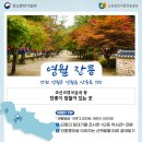 영월종합상가시장 이미지