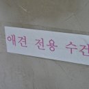 거제비치블루애견펜션 이미지