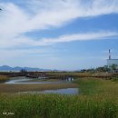 사하구 캐릭터 상징 이미지