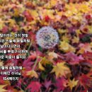 별님과바다 이미지