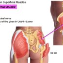 에이탑짐 은행동점PT 이미지