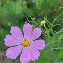 서림여자중학교 이미지