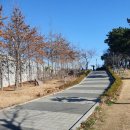 부산당곡공원 이미지