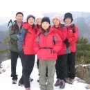 빨간여우 이미지