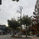 씨유 영통매영로점 | [스튜디오이나 ] 크리스마스 스냅 후기 ⊹₊⋆.ᐟ