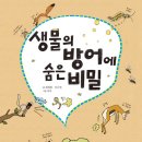 리젬 이미지
