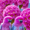 유정발전소 이미지