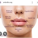 (주)정안 | 인중주름 고양이주름 입술위주름 자체가 좋아지는 재생정안침 후기