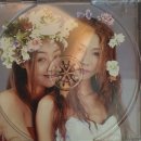 쉬가릿 - 비비 (BIBI) 이미지