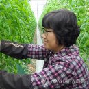 사매면 인화마을 이미지