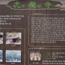 서울둘레길 5코스(관악산코스) 트레킹