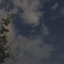 티바두마리치킨 충무점 네이버블로그