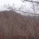 지장골 Daum카페