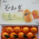 농어민직판장 이미지