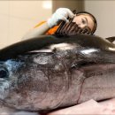 참치싸다구 이미지