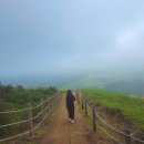 모들한상 [제주/애월/연화지] 애월 맛집 '<b>모들</b><b>한상</b>' 존맛 고사리 보말 파스타 & <b>모들</b> 돈까스 로컬 식재료 양식...